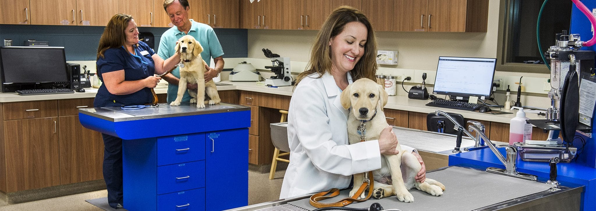 A woman in a white lab coat smiles while holding a yellow lab puppy on an examining table in our brightly lit vet clinic. Behind her, a man and a woman examine a golden retriever puppy at a different table