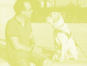 Green colored image of a man sitting and facing his yellow lab guide dog in harness, who is sitting and looking back at the man