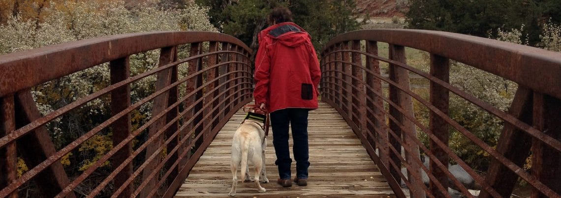 Shields and Dayo A woman wearing a red coat walks away from the camera with a yellow lab in harness across a wooden bridge on a fall day