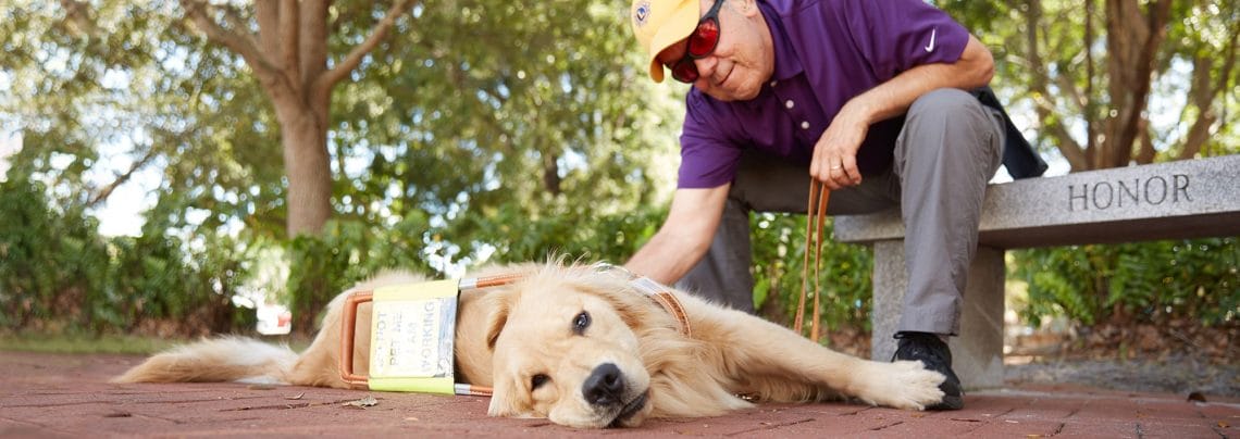 A Lions club member sits on a bench petting a golden retriever in harness.