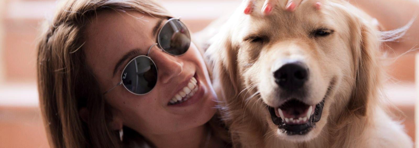 Close up of a smiling photo in sunglasses rubbing a golden retriever's head