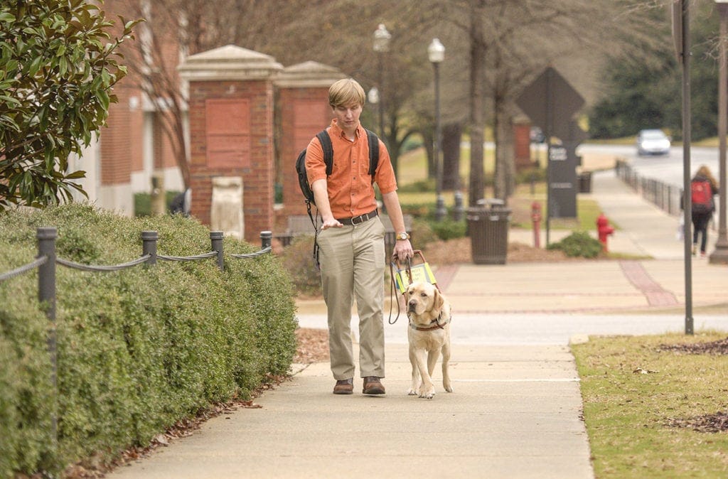 Tripp walks toward the camera on a sidewalk with one arm extended in front of him. On his left is a yellow Labrador Leader Dog in harness