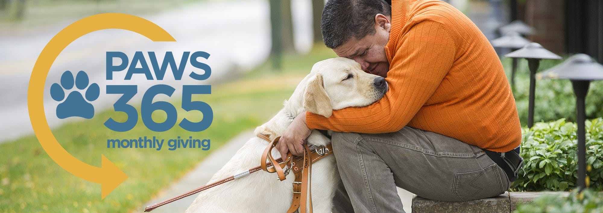 A man sits on a low wall next to a sidewalk hugging a yellow lab in harness. The man is leaning forward with his head touching the dog's head. The Paws 365 logo is displayed on the left side of the picture