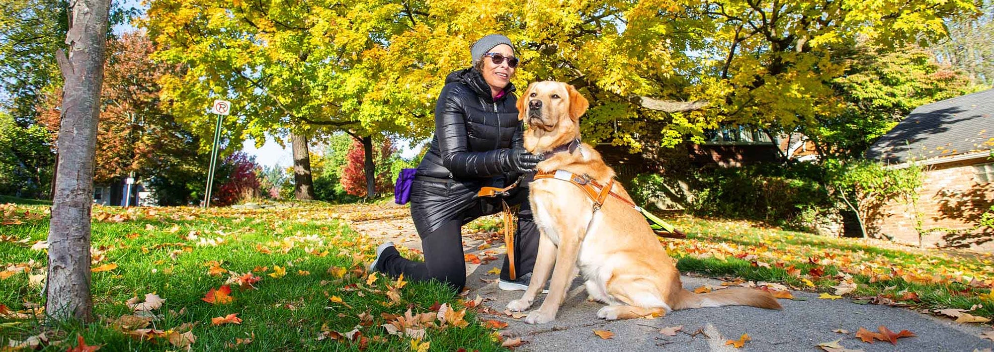 A smiling woman in a black puffy jacket kneels on a sidewalk with her hands on a seated yellow lab in harness. There are fall leaves on the sidewalk and grass around them