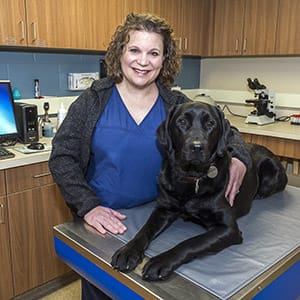 Kristen stands in the veterinary office behind of a metal-topped table that has a pad on it. Lying of the pad is a black Labrador, looking at the camera. Kristen is smiling and has one arm around the dog