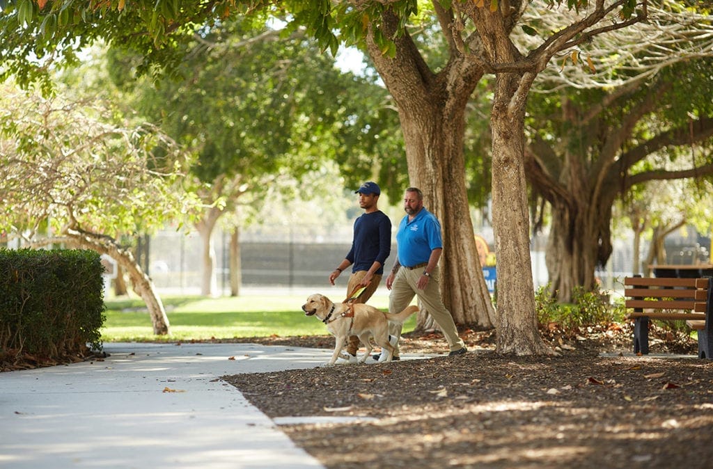 A young man walks with a Leader Dog in harness down a sunny sidewalk lined with trees. Another man in a Leader Dog polo follows slightly behind the first