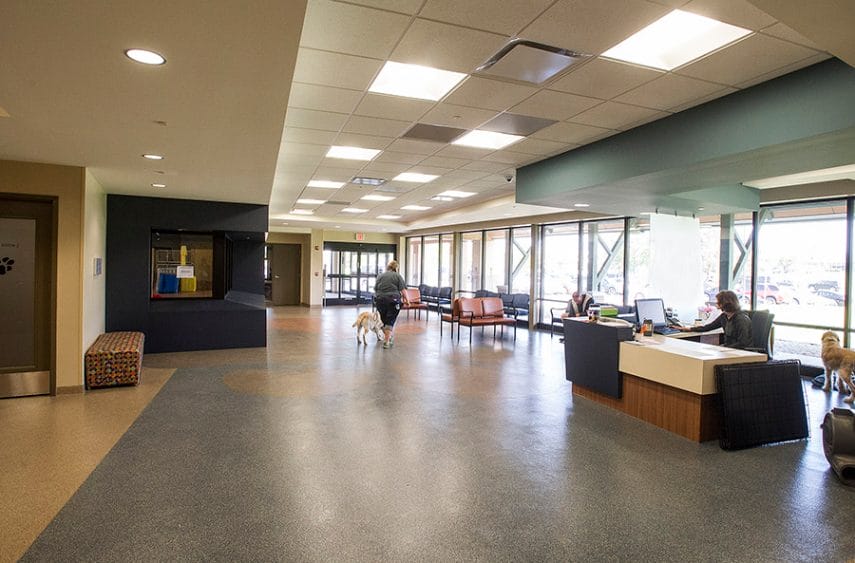 Photo of the canine center lobby. One woman walks with a dog through the mostly empty space, and another woman sits at a desk. A dog behind the desk is looking out the floor-to-ceiling windows toward the parking lot.