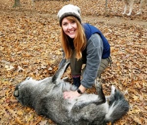 Ashley crouches near the ground, which is covered with leaves. She is rubbing the belly of a gray and white wolf hybrid.