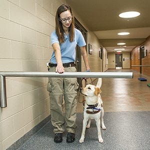 Meredith works with a yellow lab in training in the hallway of the canine center on Leader Dog's campus.