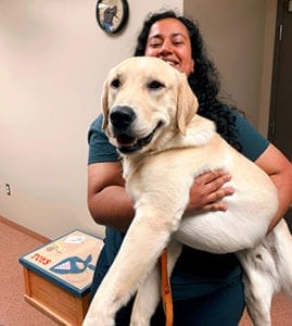 Anu stands, smiling, inside a room in the canine development center on Leader Dog's campus. She is holding a large, adult lab and golden retriever cross in her arms. Patron has his mouth open as if smiling.