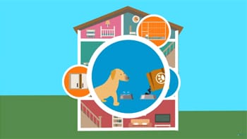 Screenshot of Preparing Your Home for a Guide Dog presentation