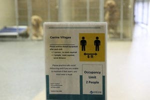 A laminated paper sign on a window describes occupancy limits and mask-wearing guidelines in the canine villages at Leader Dog.