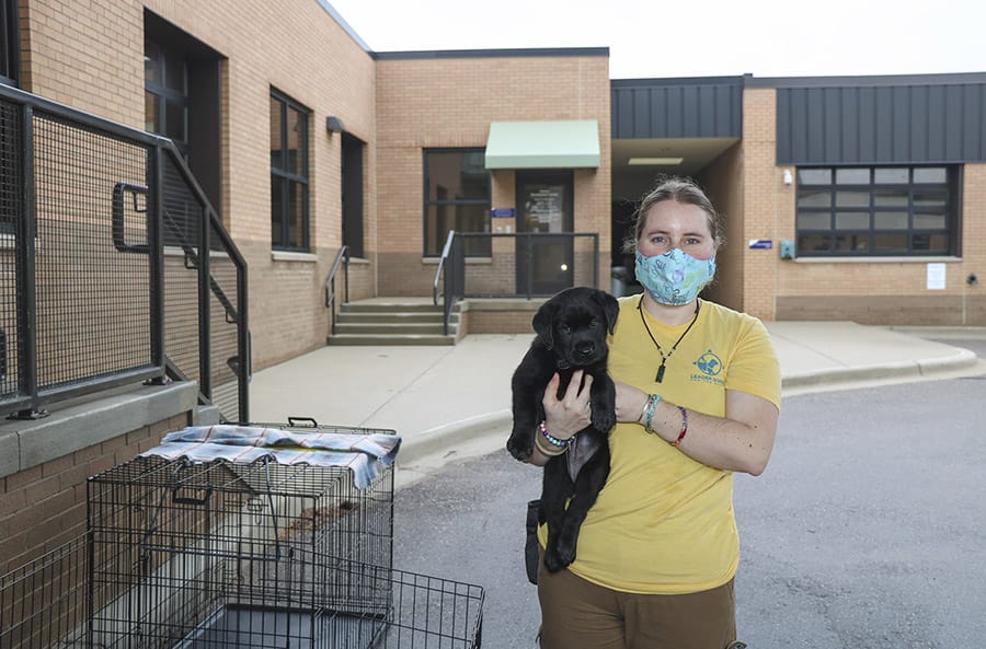 A young woman wearing a yellow t-shirt with a blue Leader Dog logo on it stands looking into the camera. She is outside the brick canine development center on Leader Dog's campus. She is holding a young black lab puppy and wearing a blue surgical mask.