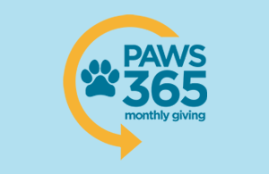 Paws 365 logo