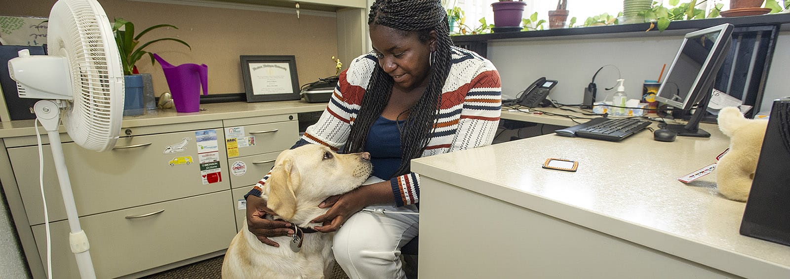 Adult woman sitting at a desk in an office environment. She has her hands on a yellow lab sitting on the floor next to her and smiling down at it