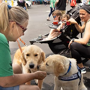 A woman kneeling on the ground near the camera pets a golden retriever puppy and yellow lab. The puppy wears a blue Future Leader Dog vest. In the background is a smiling woman with a stoller and two children
