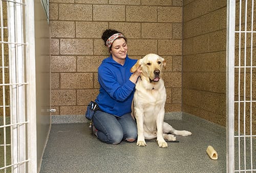A smiling woman kneels next to a yellow lab while massaging its ears in its large kennel area.