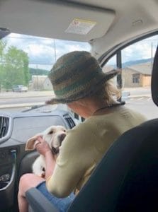 The back of a woman wearing a straw hat and tan shirt sitting in the front passenger seat of a car. Sitting on the floor facing the woman is a yellow dog. The woman has her hands behind the dog’s ears as if rubbing them.