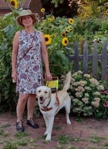 A woman wearing a floppy straw hat and a floral dress standing in front of flowering bushes, sunflowers and a wooden fence. Her left hand is holding onto the harness handle of a yellow Labrador/golden retriever cross dog. The dog’s pink tongue is slightly out, and its tail is held high.