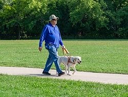 Mark and yellow lab Leader Dog Izzy, in guide dog harness, walk down a sidewalk with grass on either side and trees in the far background.