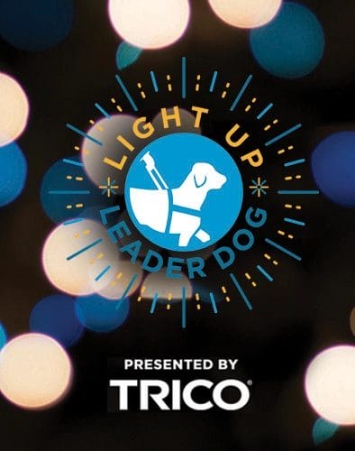 Light Up Leader Dog logo in blue and yellow with blurred lights behind