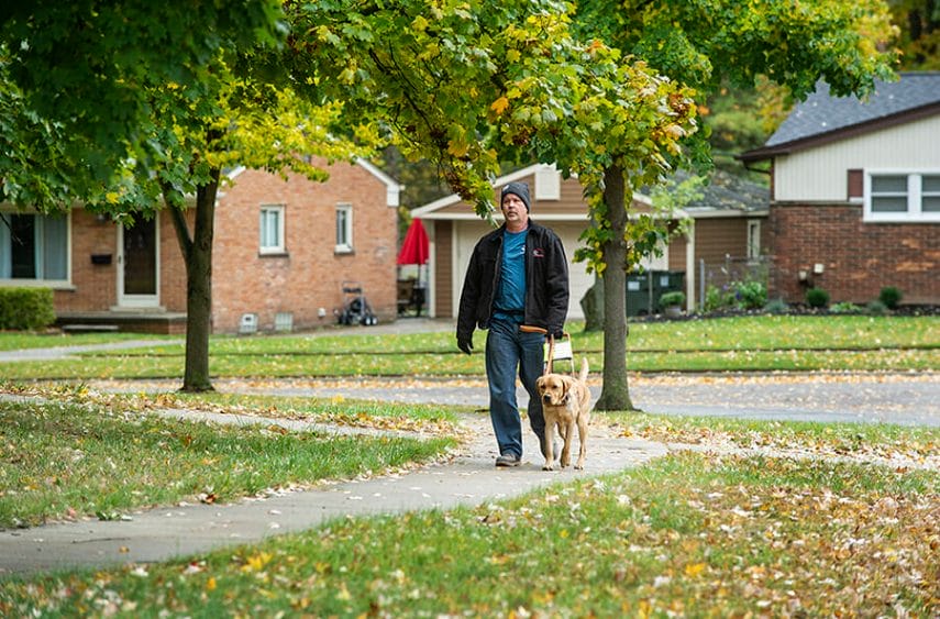 A man in jeans and a dark jacket and gray knit hat walks down a leaf-covered sidewalk with a yellow lab in harness