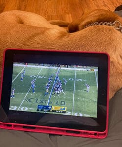 Joey's legs are crossed on the floor with an iPad playing a football game. Tucker is curled up in front of Joey's legs.