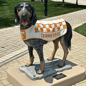 Statue of dog wearing an orange and white jacket with the word Tennessee on the side