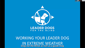 working your Leader Dog in extreme weather working your Leader Dog in extreme weather