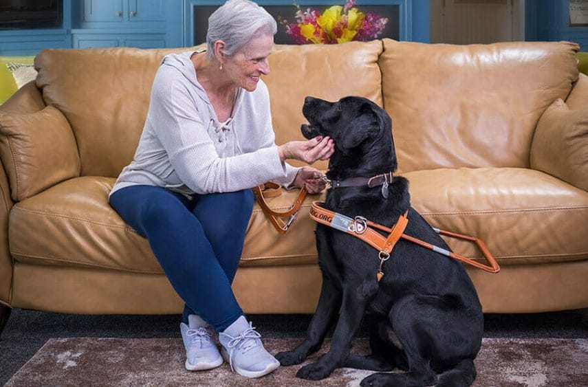 Smiling woman on couch looking at sitting black lab in Leader Dog harness