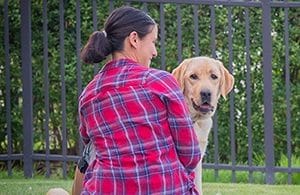 Client Gina A and LD Courage over shoulder_Michael G Woman sitting in front of bushes looking over her shoulder at yellow lab next to her