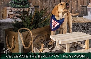 Card front with yellow lab puppy with its tongue out and wearing a blue Future Leader Dog bandanna. There is a wood bench and greenery around the puppy with graphic of falling snow
