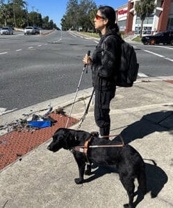 Woman with white cane and black lab next to her in Leader Dog harness. They are standing at a curb near an intersection