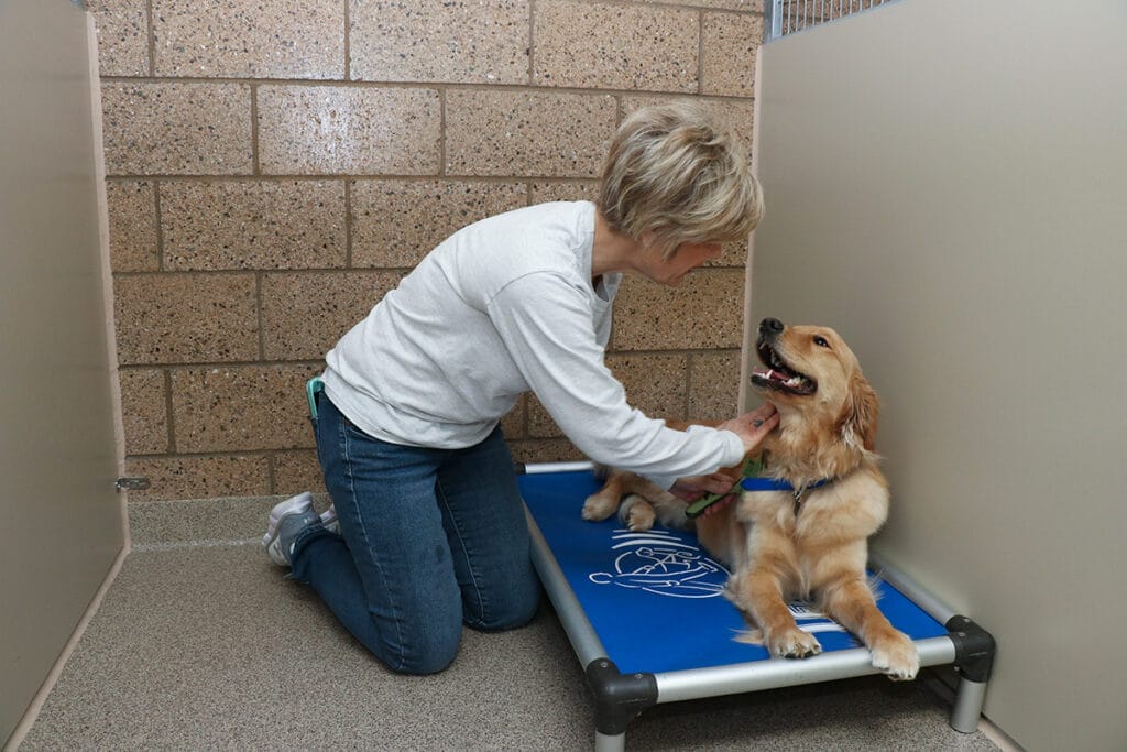 Volunteer Renee Manzella dog-in-training Sharon 2 Volunteer Renee Manzella dog-in-training Sharon 2