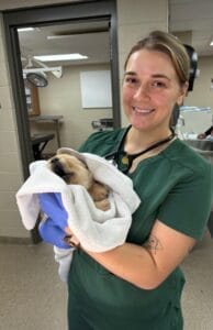 A young woman with her hair pulled back into a bun, wearing veterinary scrubs and blue disposable gloves, is holding a young puppy wrapped in a blanket inside a veterinary clinic. She smiles at the photo.