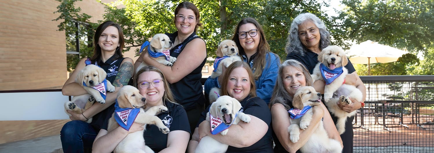 Puppy Development Header Puppy Development Header